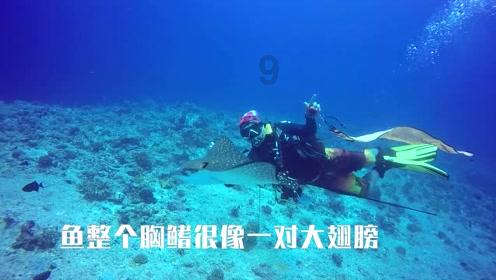 植物大战僵尸10